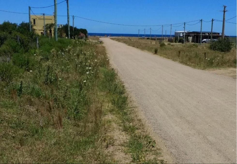 Punta Negra